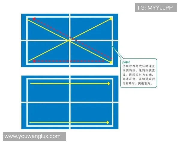 杭州乒乓球队在世界锦标赛中的节奏表现与战术分析探讨
